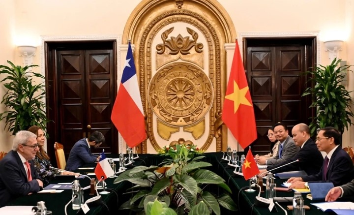 Chile, Vietnam examine ways to foster comprehensive partnership